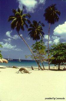 Mount Irvine Bay Hotel 3*