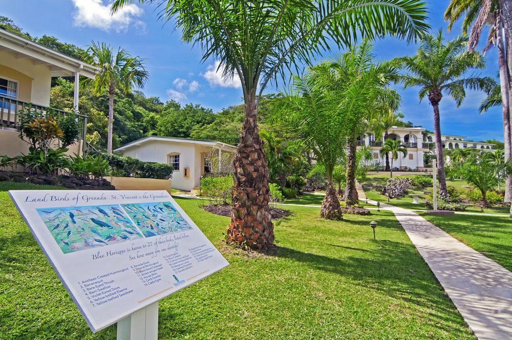 Blue Horizons Garden Hotel 3*