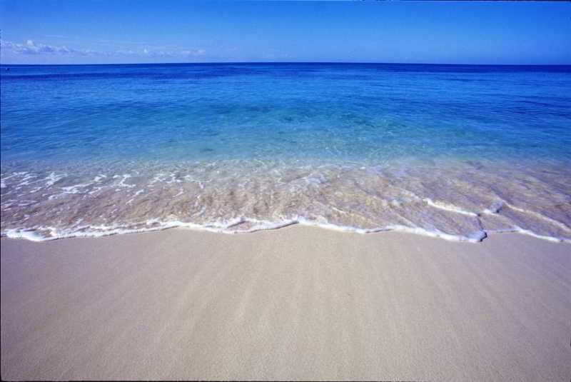 Bavaro Cortecito