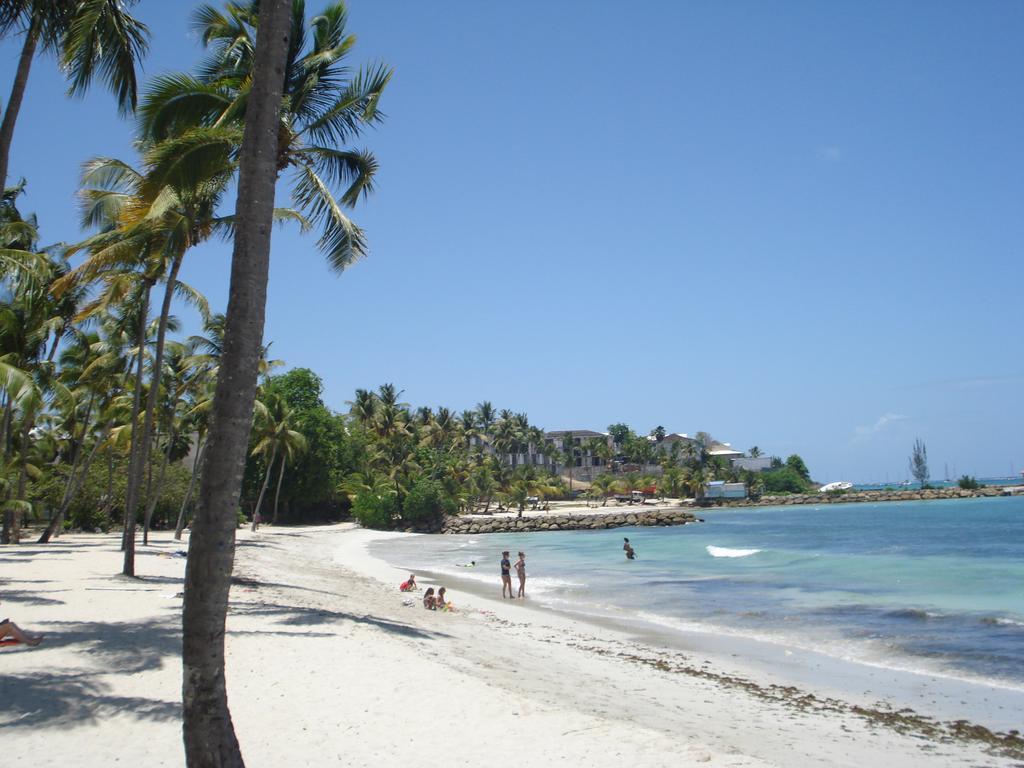 Oceanis Archipel & Savane * Le Gosier (Grande-Terre)