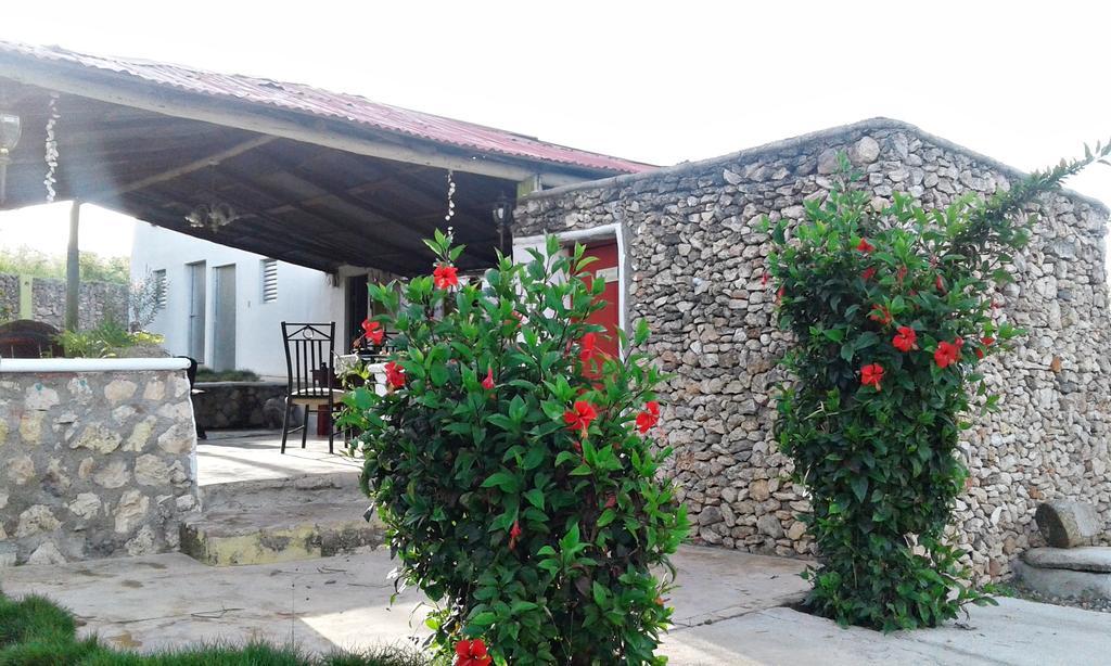 Alfonsina Guest house 3*