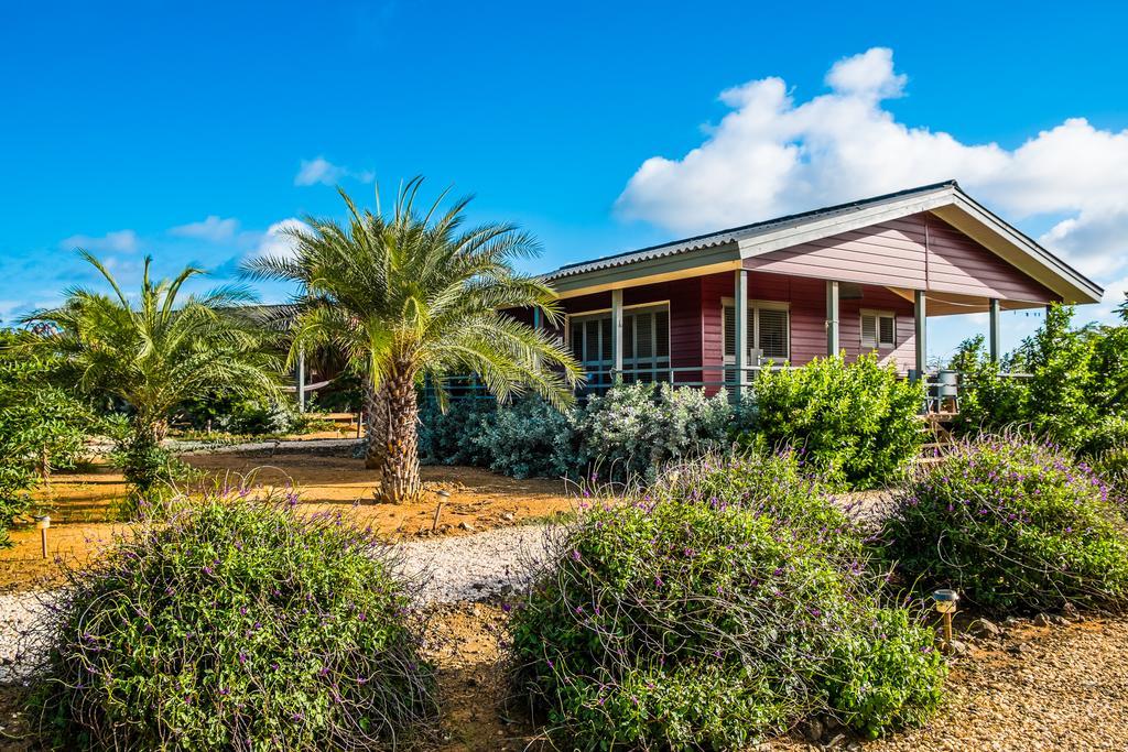Red Palm Village Playa