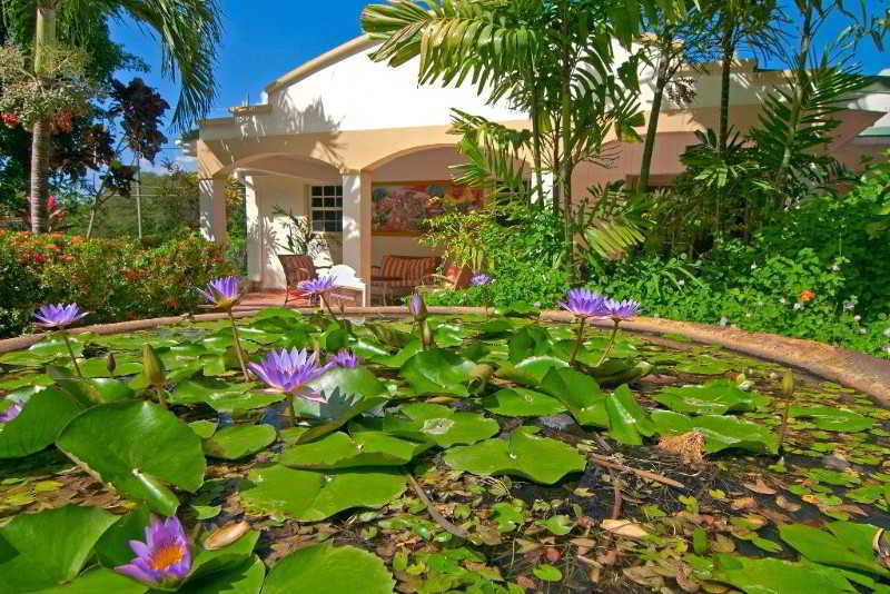 Hotel Blue Horizons Garden