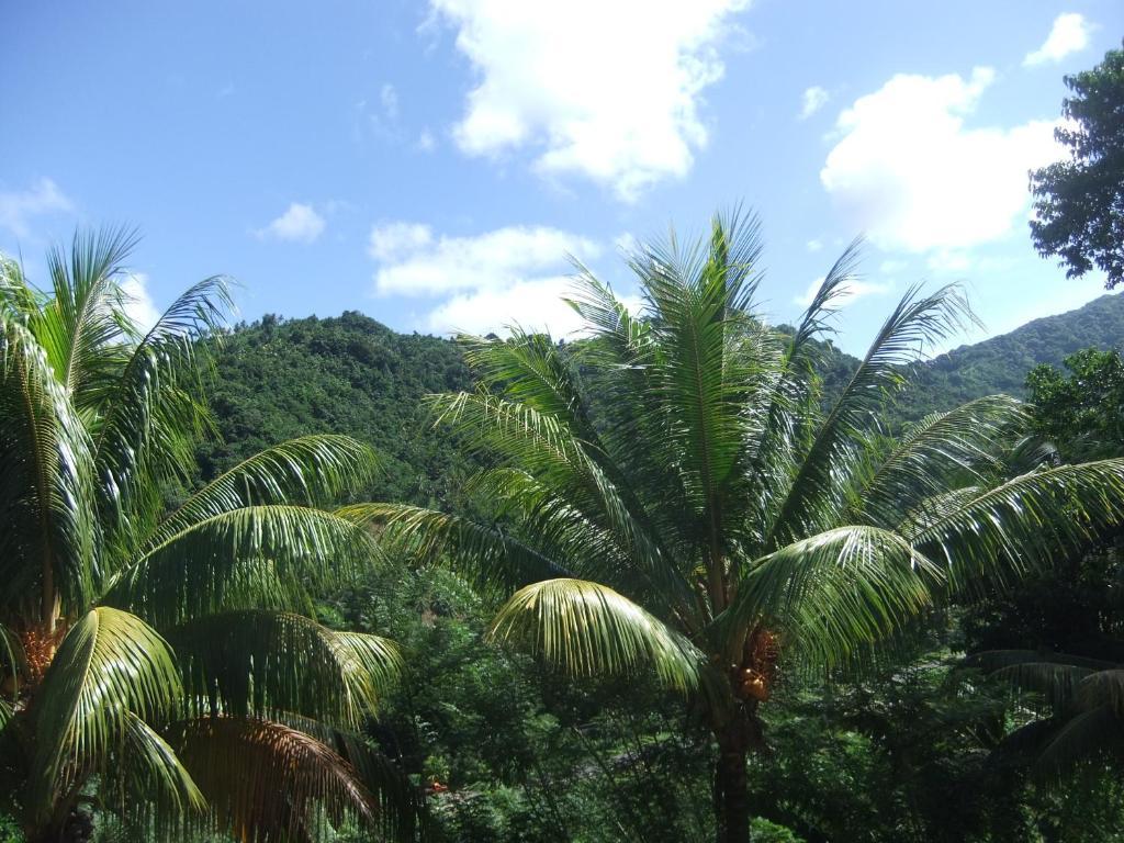 Serenity Dominica * Marigot
