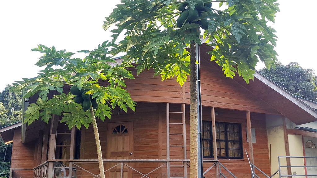 Mango Apartment Castara