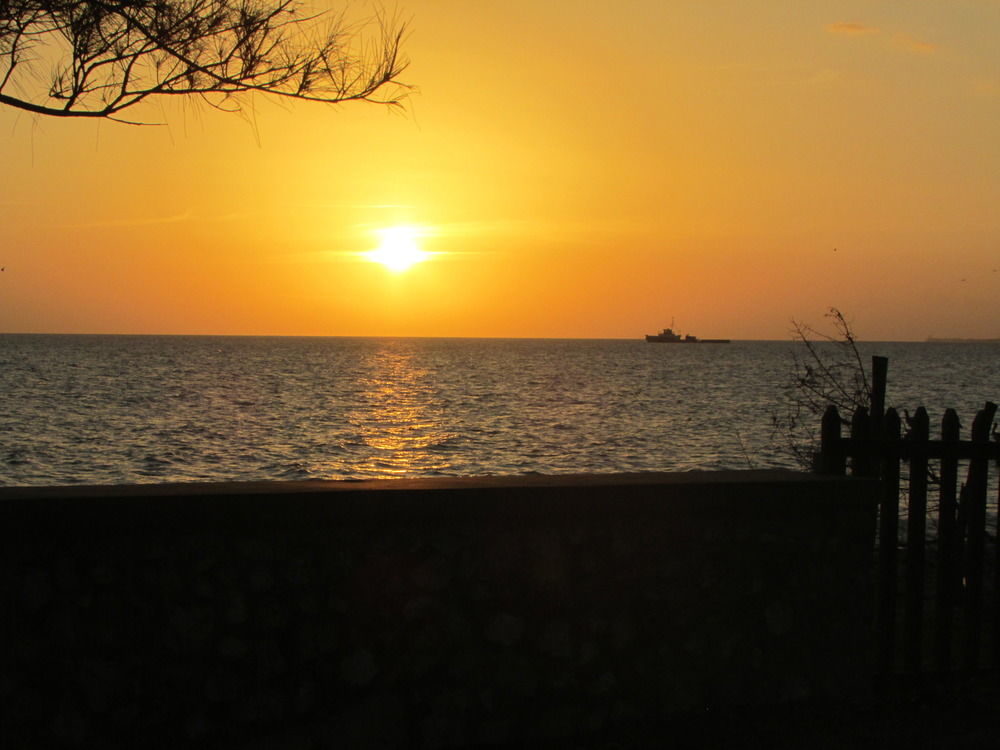 Ocho Rios At Coolshade Iv