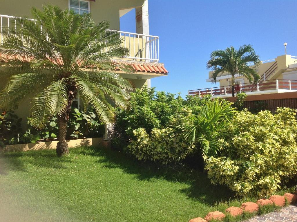 Selva Boutique - Oceanfront Retreat - Adults Only 4* Luquillo