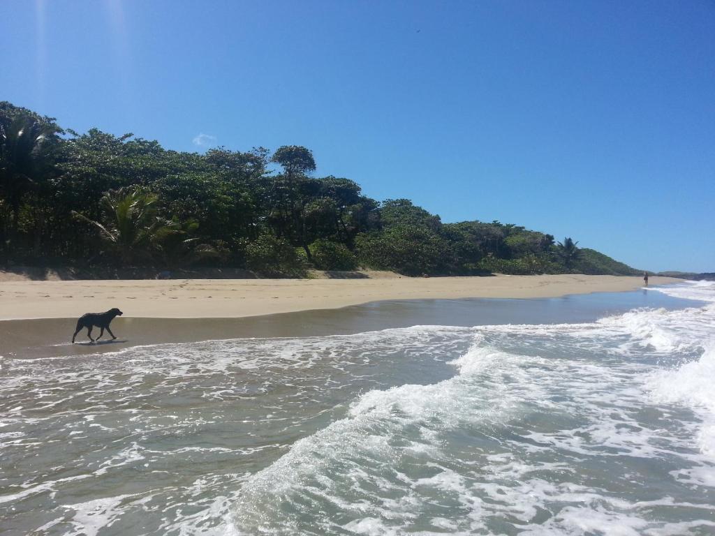 Cabarete Maravilla Eco & Hotel