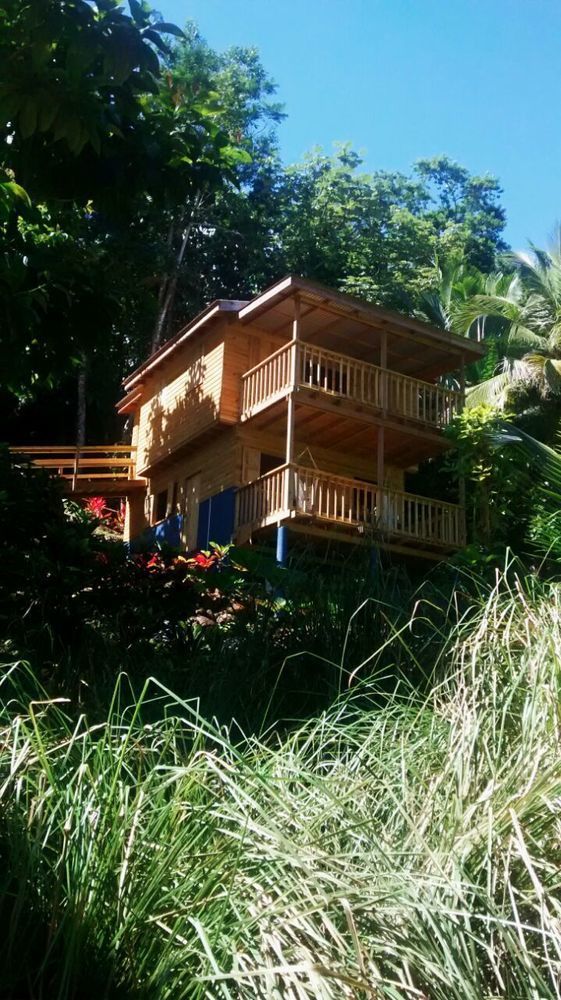 Lodge Roots Jungle Retreat *