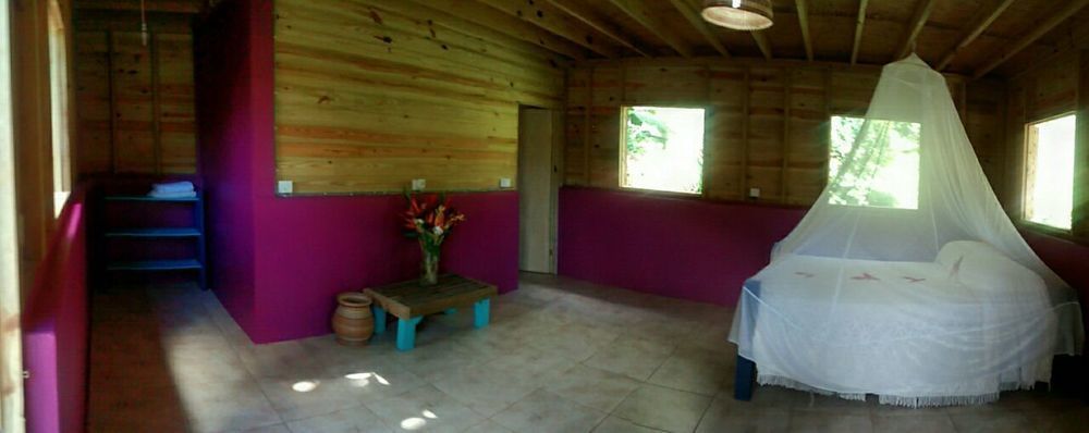 Roots Jungle Retreat