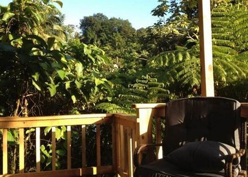 Lodge Roots Jungle Retreat