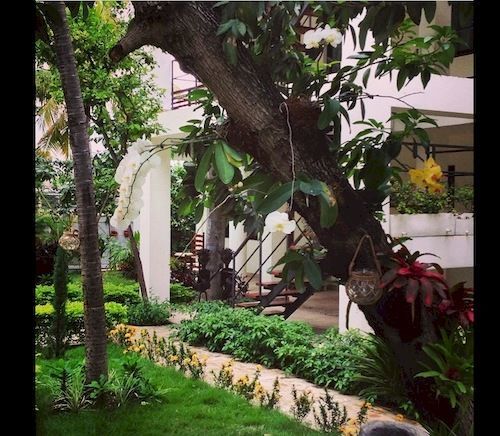 Maxime Boutique 4* Petionville