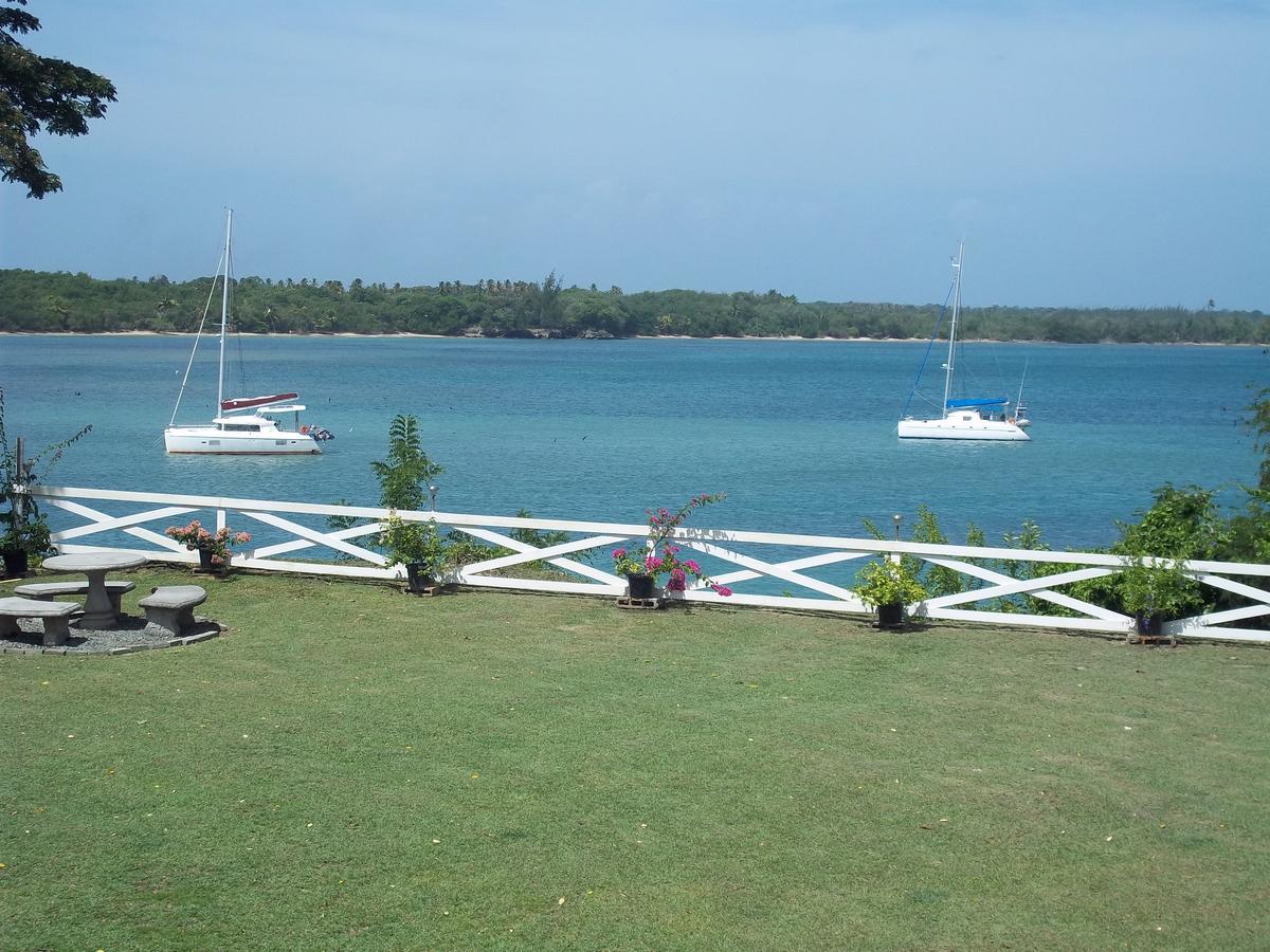 Reef View *