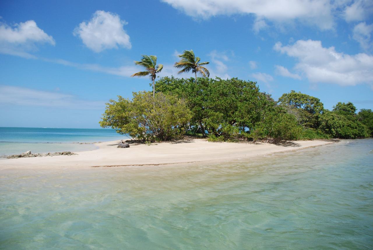 Reef View * Buccoo
