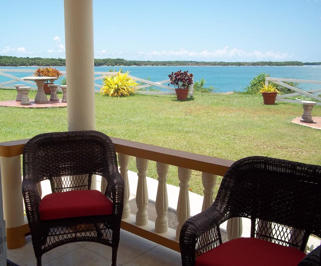 Reef View *