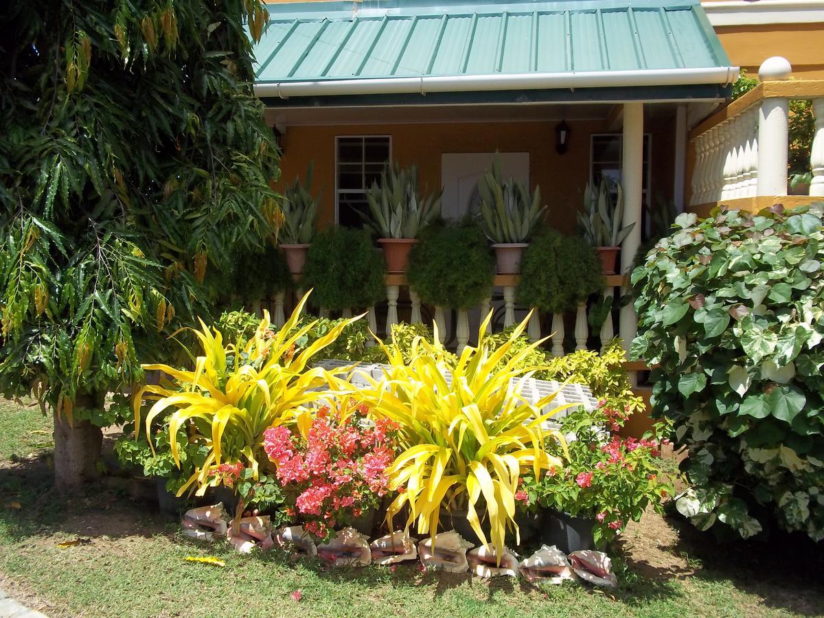 Reef View Guest house *