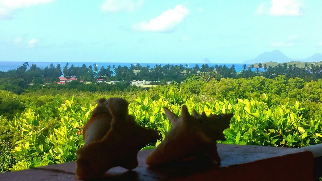 Carribean Sea View Apartamento Sainte-Anne