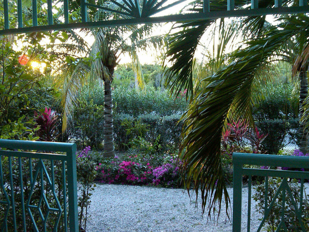 Caribbean Diamond Providenciales