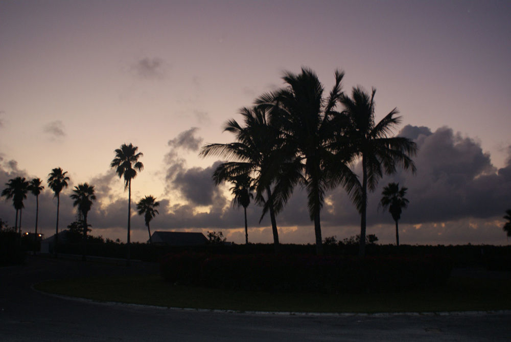 Caribbean Diamond * Providenciales