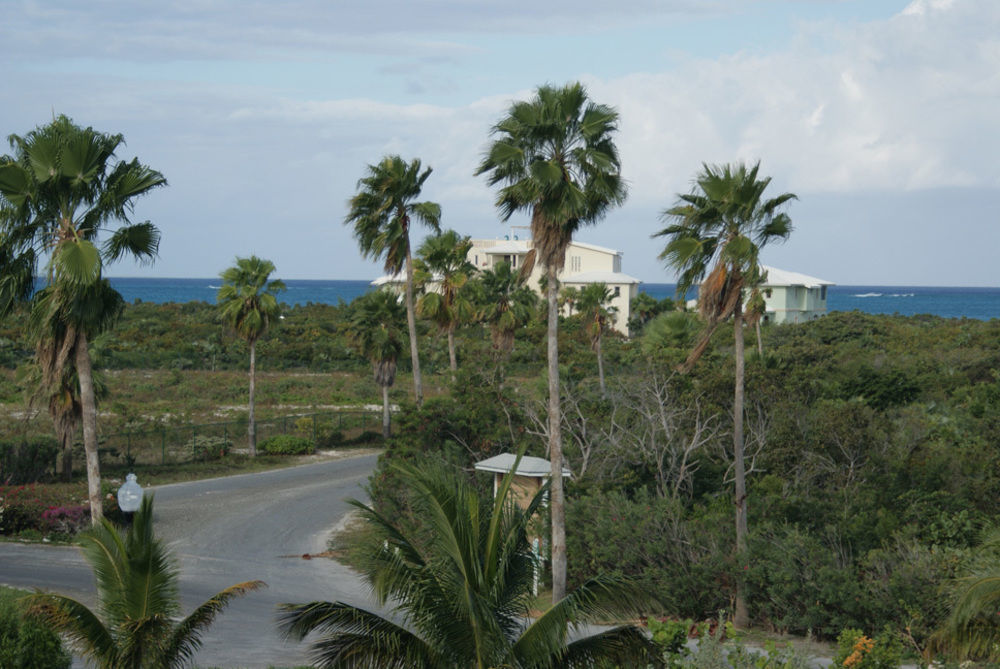 Caribbean Diamond Hotel Providenciales