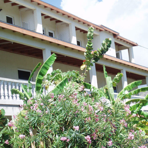 Culture House Guest house Basseterre