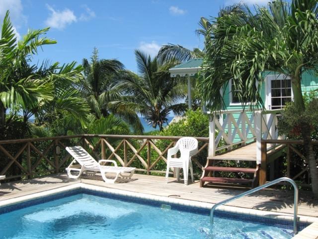Lodge Palm Castries