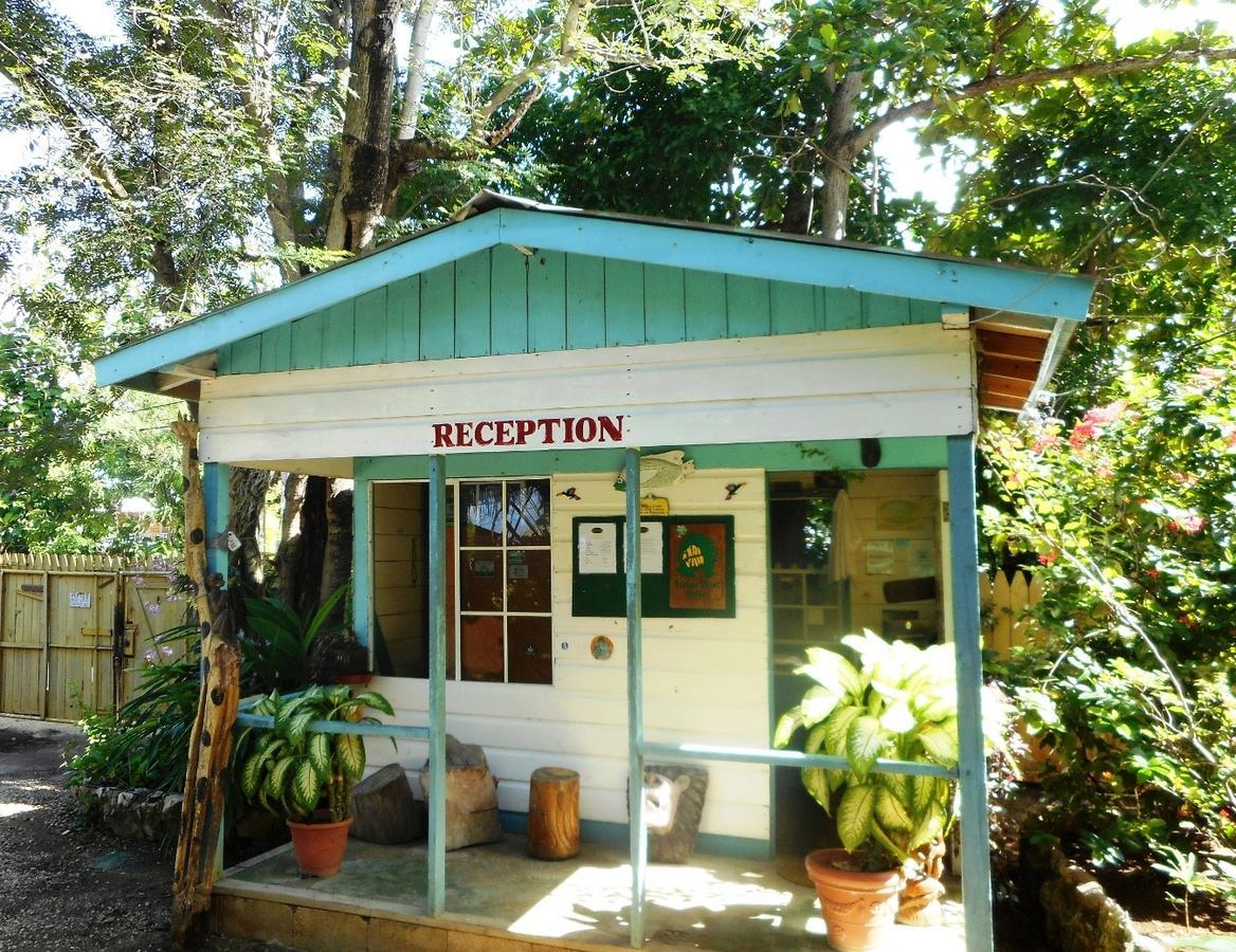 Banana Shout Negril