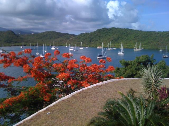 Mount Hartman Bay Estate 5* St. George's