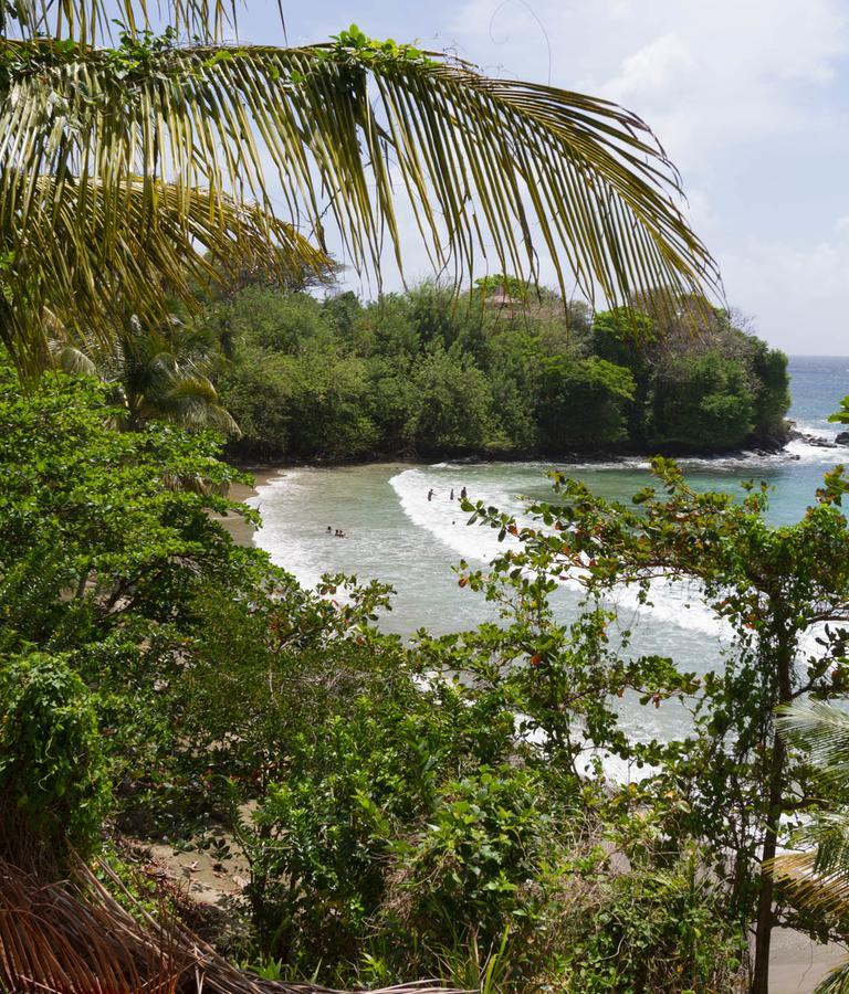 Blue Haven - Bacolet Bay - Tobago 4* Scarborough