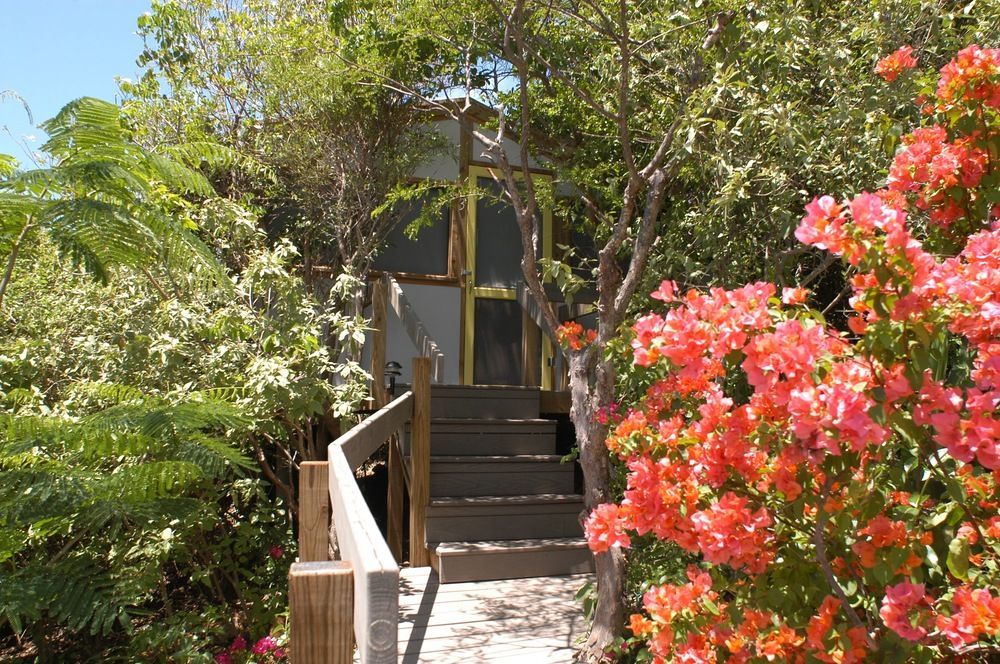 Virgin Islands 2*