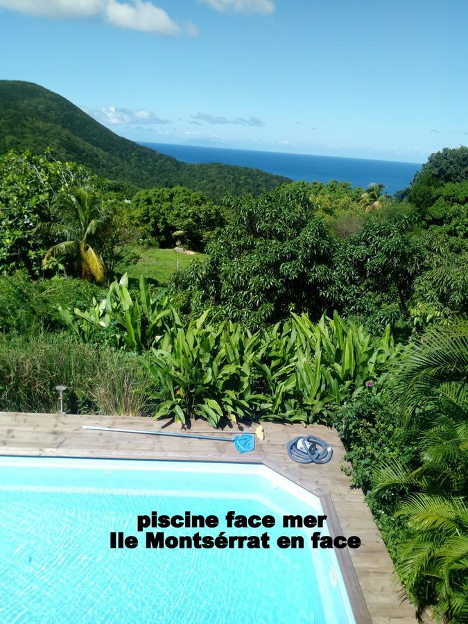 Au Vieux Manguier * Deshaies