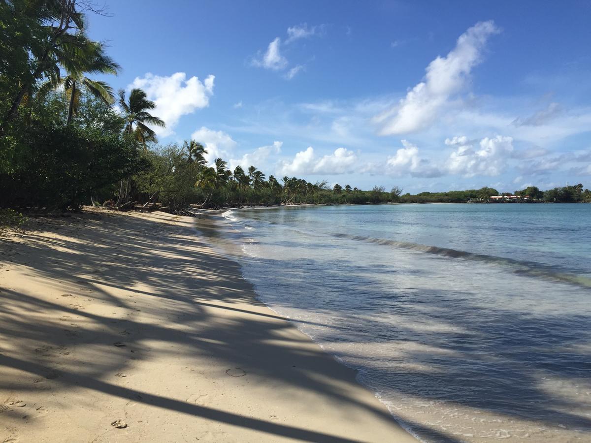 Hotel Anse Caritan Apartment *