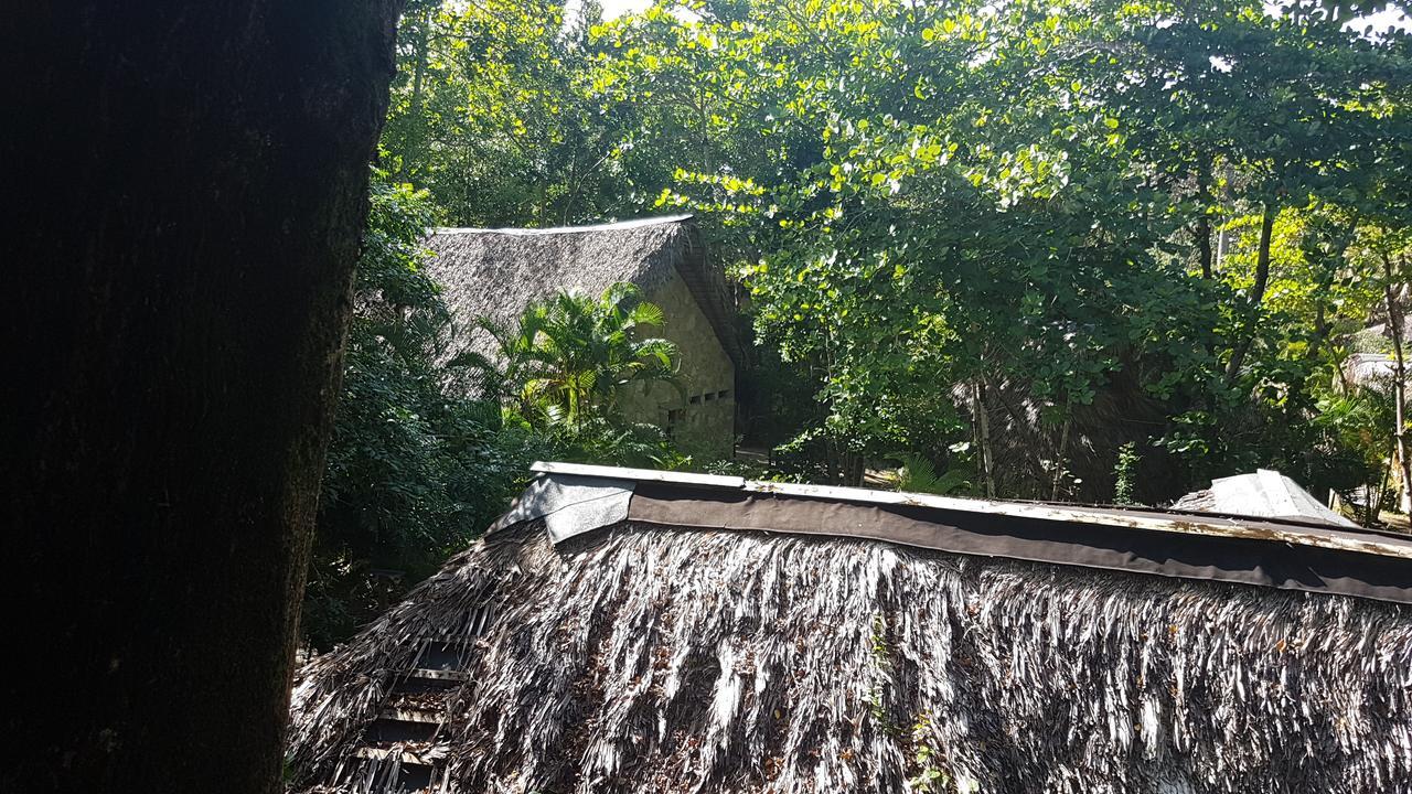 Hotel Cabarete Maravilla Eco &