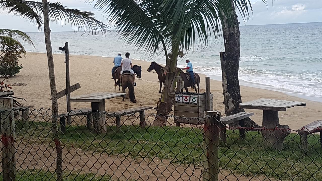 Cabarete Maravilla Eco & La Mulata