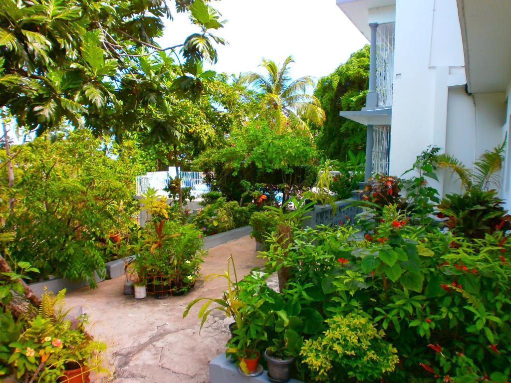 Hotel Palm View 2*