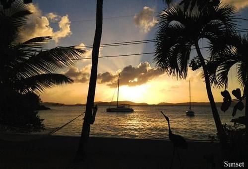 Coconut Coast Contant (Saint John)