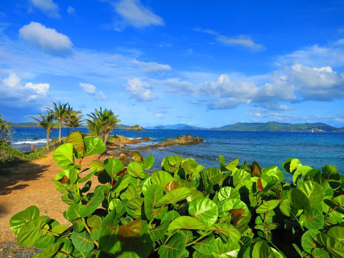 Resort 2br Luxury Beachfront Duplex On Sapphire Iii