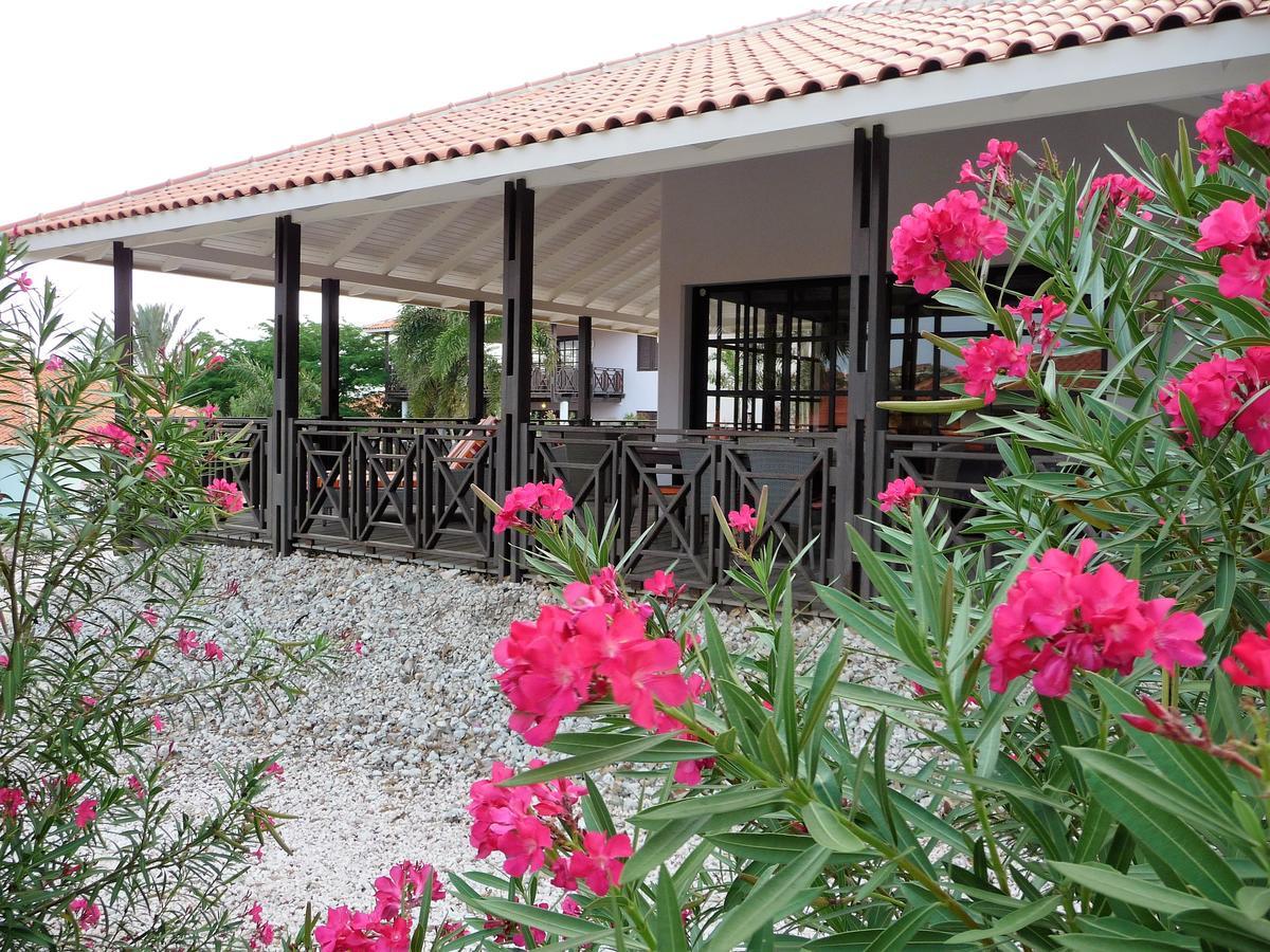 14 Villa