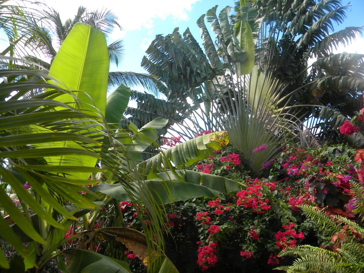 Le Panoramique Hotel 3*