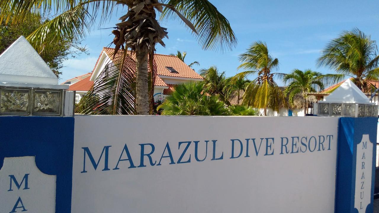 Apartment Marazul Dive F1