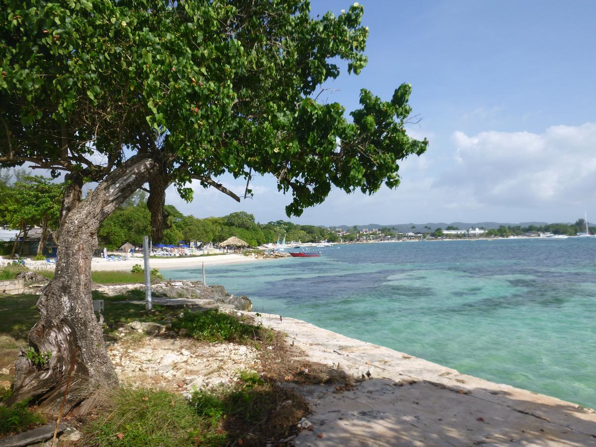 Point Village 3* Negril
