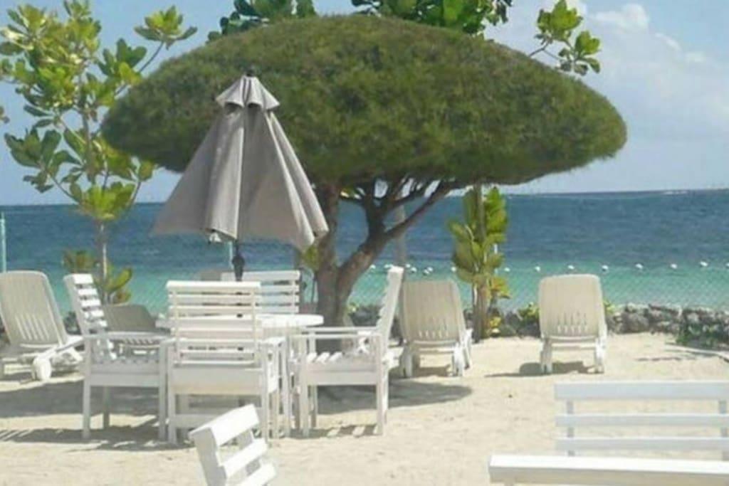 Ocho Rios @ The Palms