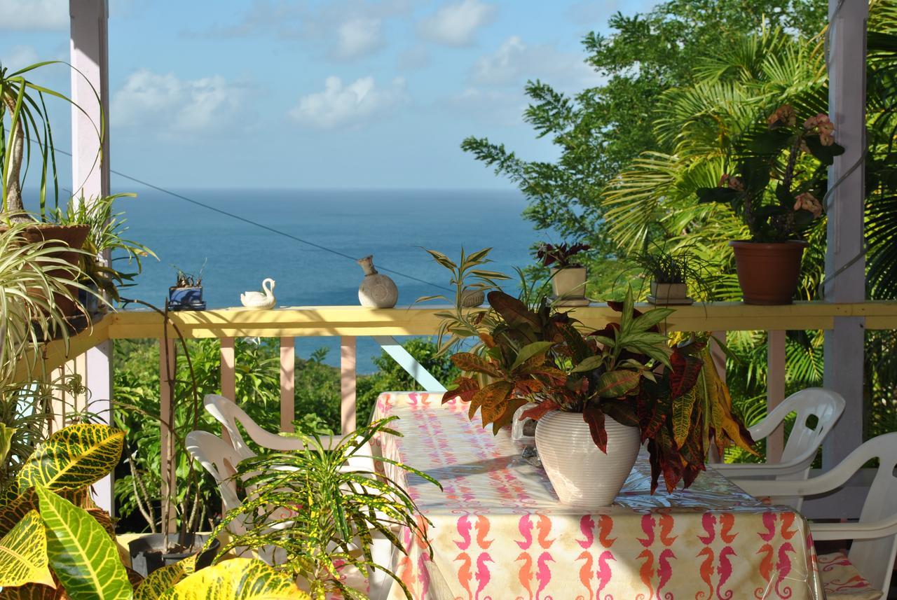 Caribbean Dream 2*