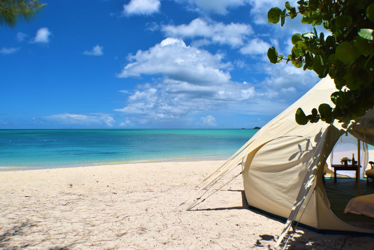 Luxury tent Wild Lotus Glamping Bolands