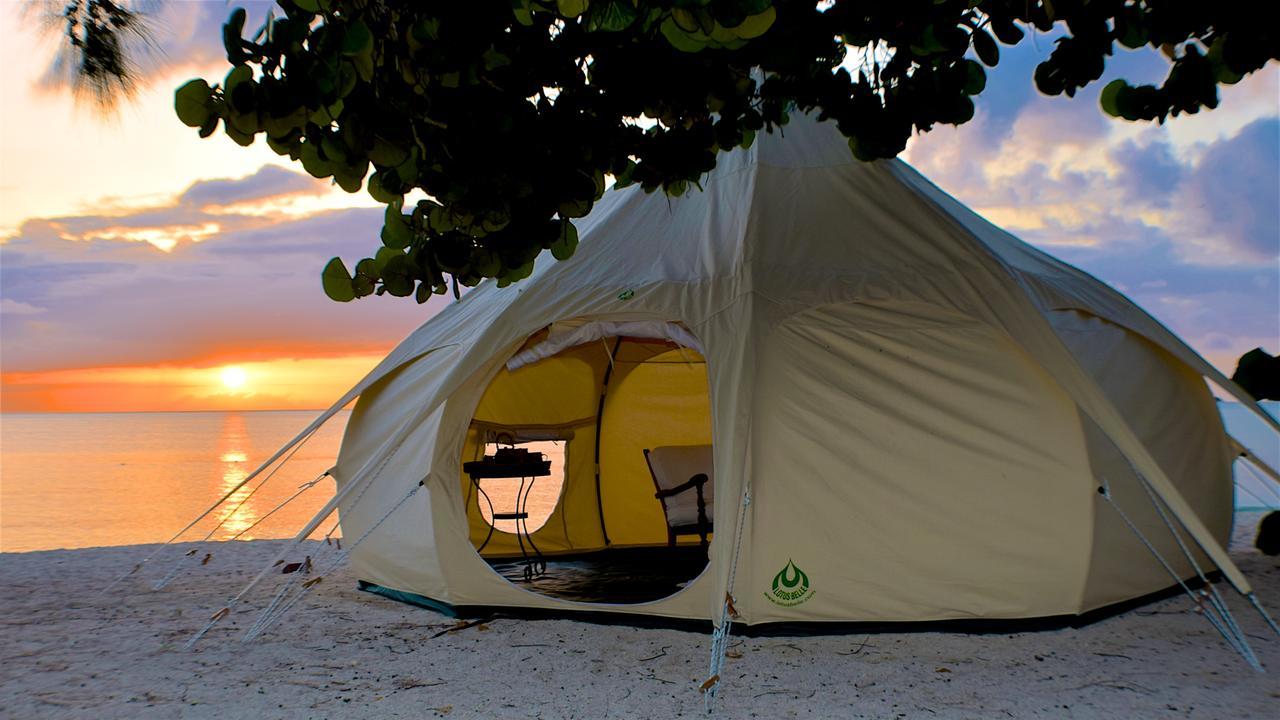 Wild Lotus Glamping