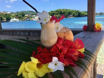 Resort Young Island 3*