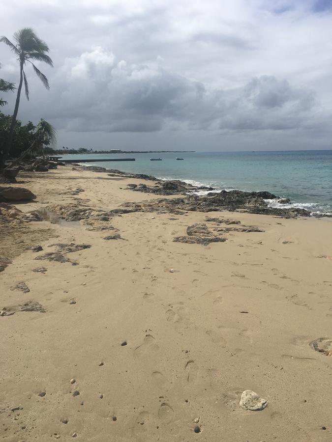 The Fred - Adults Only Frederiksted