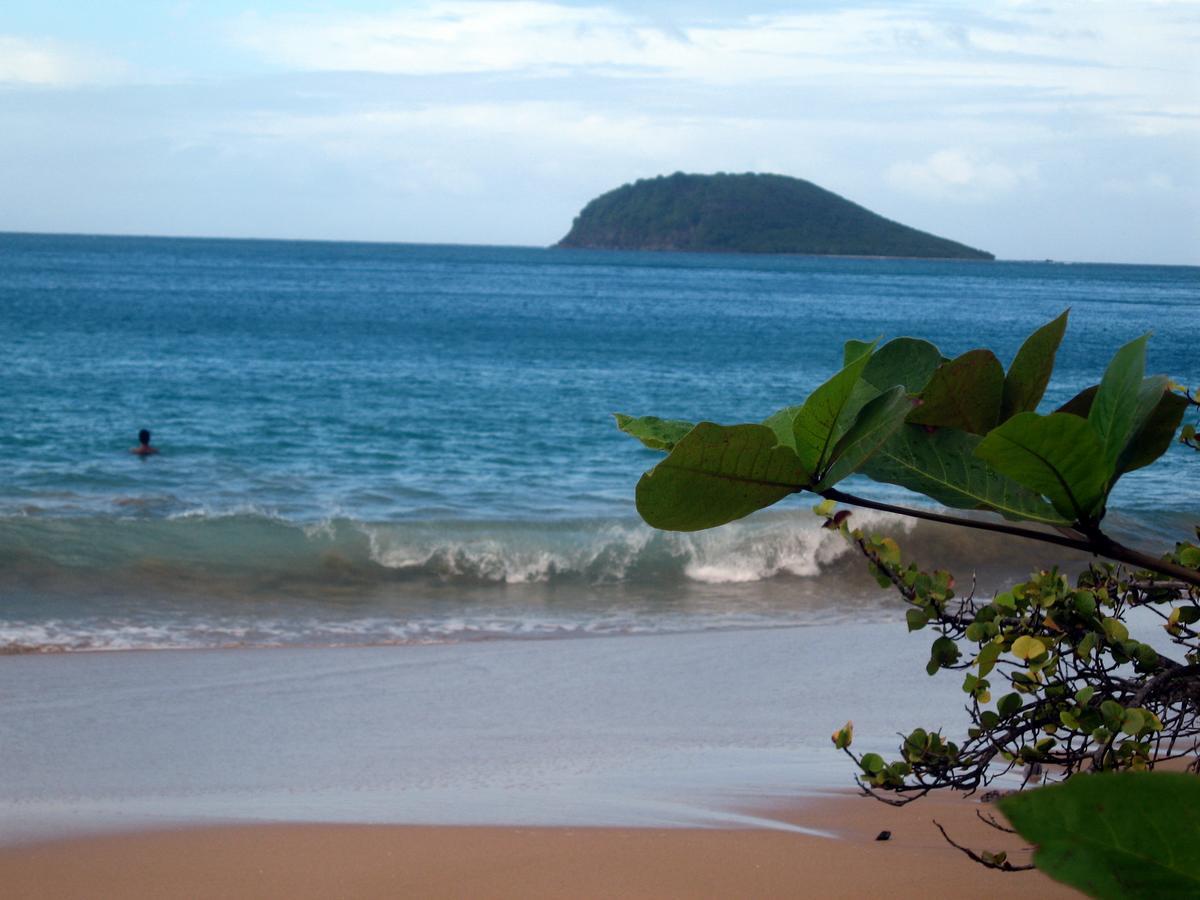 Au Vieux Manguier Casa de férias