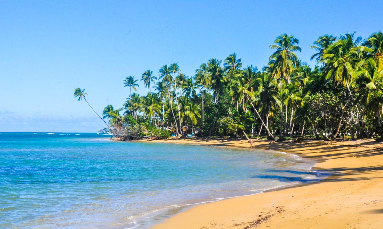 Casa Delfin 3* Las Terrenas