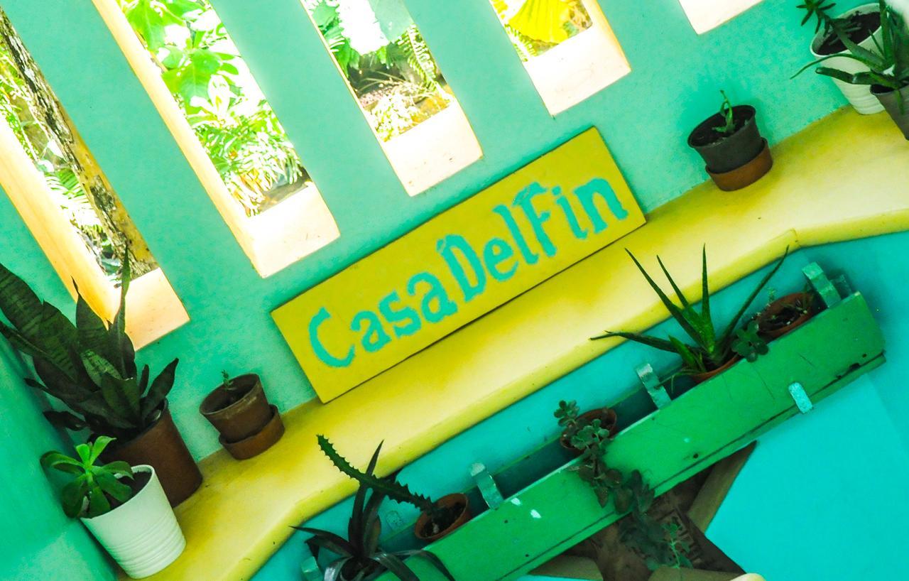 Casa Delfin